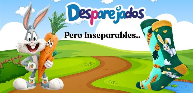 Calcetines Desparejados